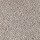 Mohawk Carpet: Soft Attraction I Rushmore Grey